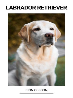 cover image of Labrador Retriever